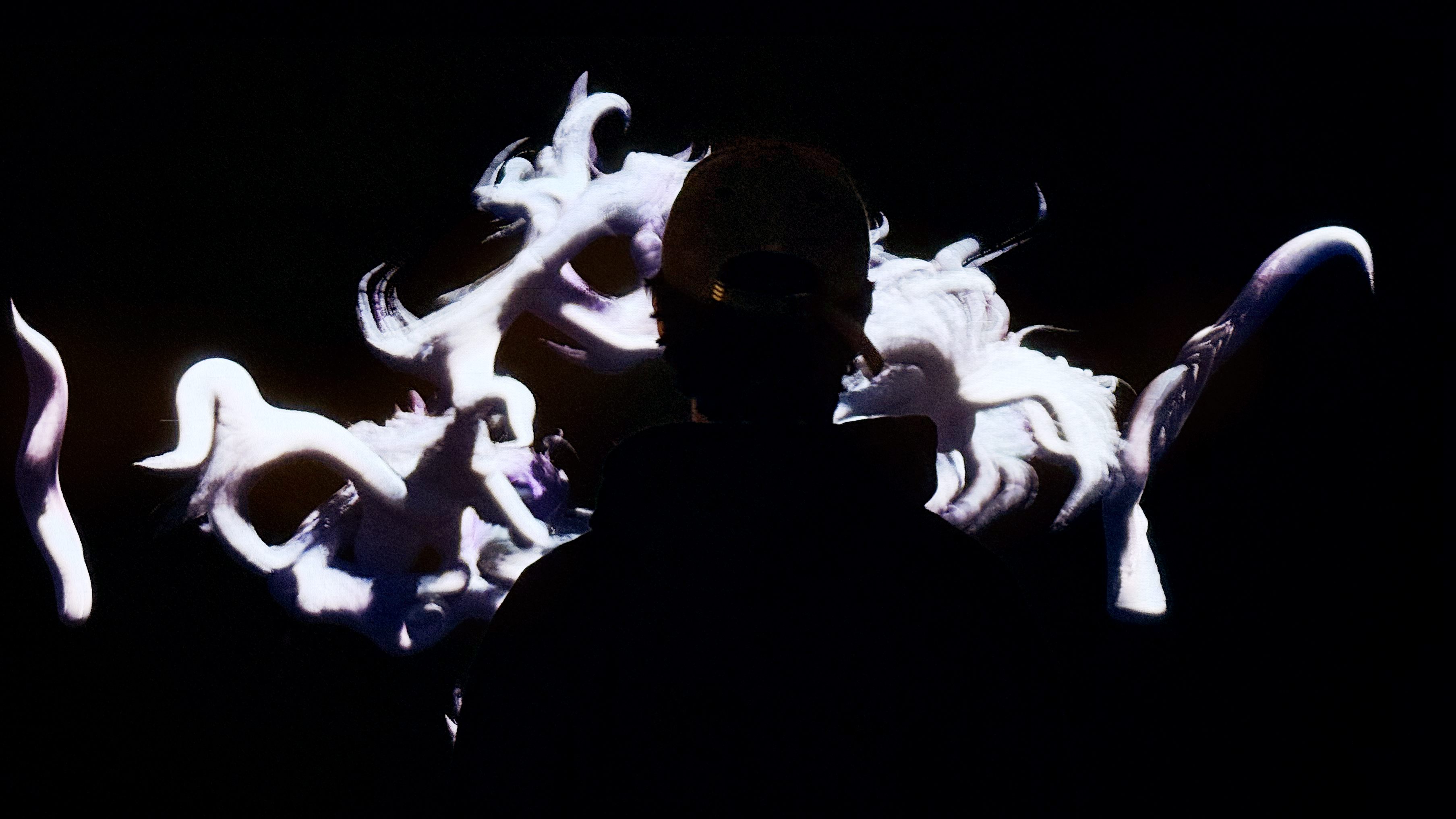 Flesh of Words installation